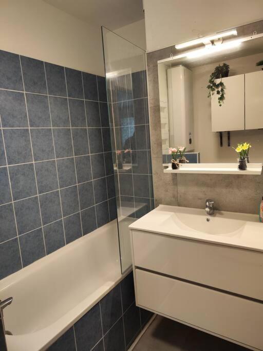 Le Cocon Manceau Apartment Le Mans Luaran gambar