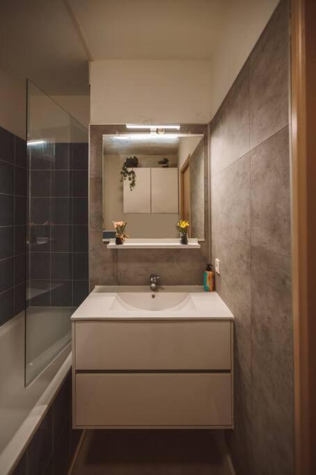 Le Cocon Manceau Apartment Le Mans Luaran gambar