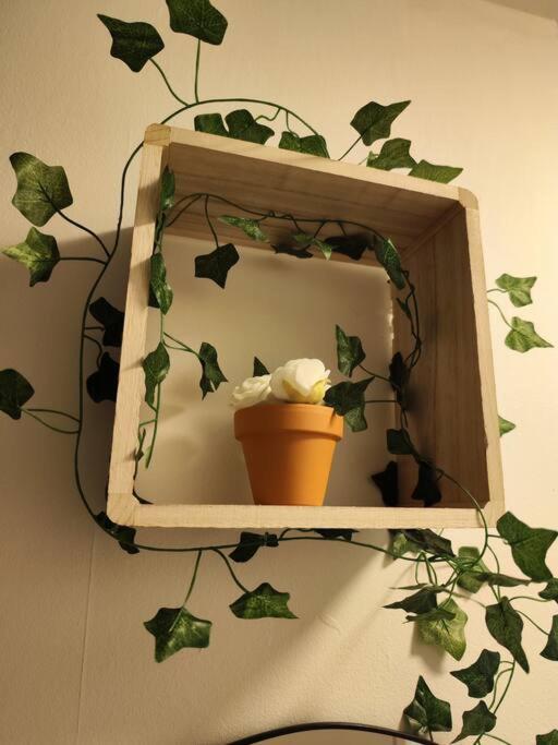 Le Cocon Manceau Apartment Le Mans Luaran gambar
