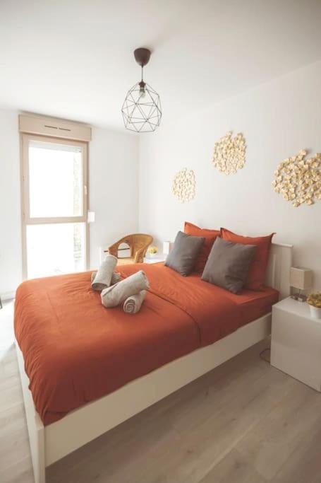 Le Cocon Manceau Apartment Le Mans Luaran gambar